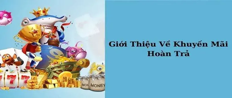 Hoàn Trả Không Giới Hạn Tại OLYBET: Trải Nghiệm Cá Cược Tốt Nhất